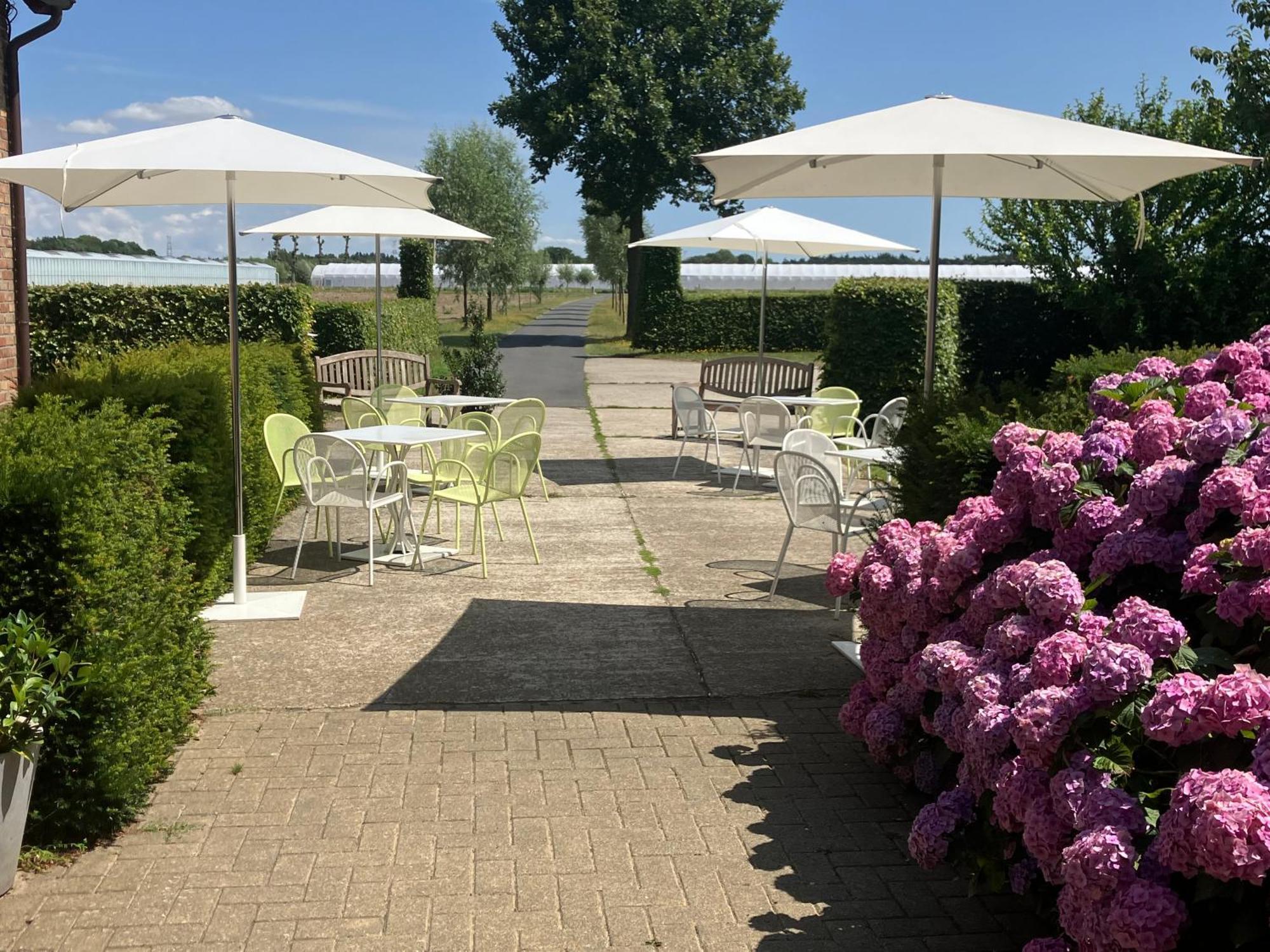 Tannine Et Cuisine Villa Jabbeke  Dış mekan fotoğraf